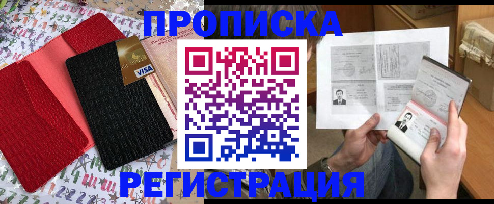прописка поиск в Чечне